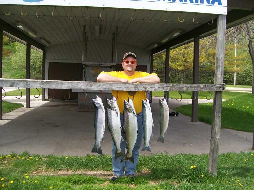 fish